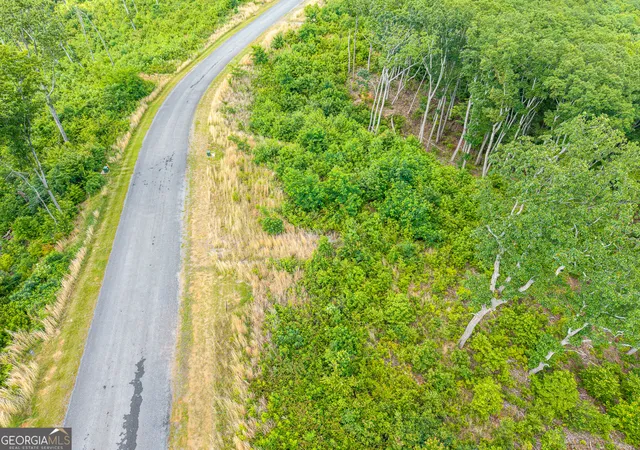 Photo 4 of Land for sale at Lot 234 Highgrove Dr, Talking Rock, GA 30175 | MLS# 10768878 | Listing updated on 2026-06-04