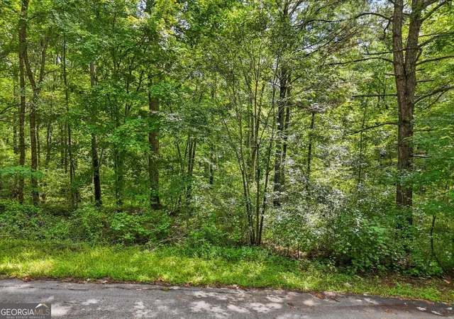 4th image of 1040 Union Station Rd, Greensboro, GA 30642 | MLS# 10584600