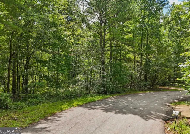 5th image of 1040 Union Station Rd, Greensboro, GA 30642 | MLS# 10584600