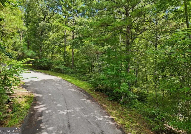 6th image of 1040 Union Station Rd, Greensboro, GA 30642 | MLS# 10584600