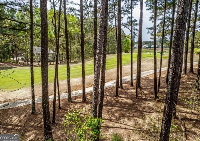 4th image of 1051 Portside Ct, Greensboro, GA 30642 | MLS# 10724923