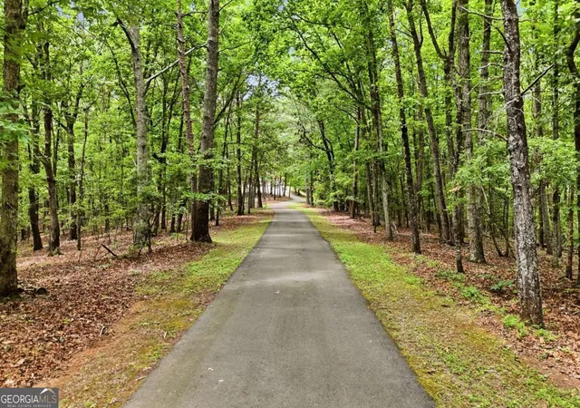 4th image of 116 Hidden Cove Dr, Ball Ground, GA 30107 | MLS# 10812431