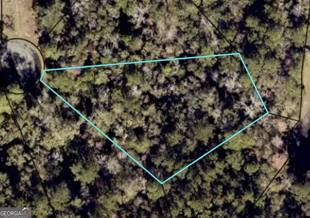 1st image of 0 Turtle Dove Wy, Waverly, GA 31565 | MLS# 10826527