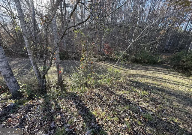 Photo 1 of Land for sale at 0 Duncan Brg Rd, Cleveland, GA 30528 | MLS# 10645363 | Listing updated on 2026-09-15