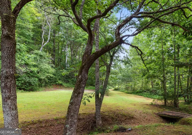Photo 3 of Land for sale at 0 Duncan Brg Rd, Cleveland, GA 30528 | MLS# 10645363 | Listing updated on 2026-09-15