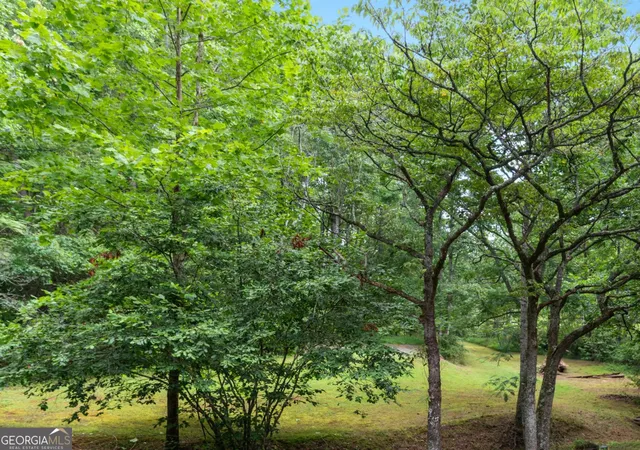Photo 3 of Land for sale at 0 Duncan Brg Rd, Cleveland, GA 30528 | MLS# 10645363 | Listing updated on 2026-09-15