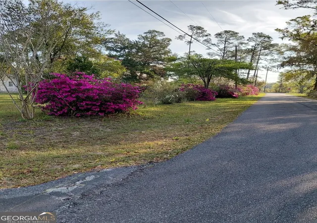 Homes for sale in Folkston, GA | 20 Gibson St, Folkston, GA 31537 | MLS# 10715669