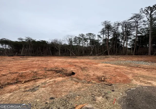 4th image of 0 Scott Rd, Eastanollee, GA 30538 | MLS# 10816385