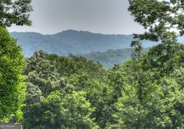 2nd image of 558 Tipton Springs Rd, Morganton, GA 30560 | MLS# 10543050