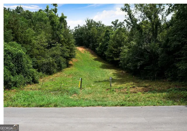 Photo 3 of Land for sale at 0 Hanes, Oakman, GA 30732 | MLS# 10814528 | Listing updated on 2026-09-01