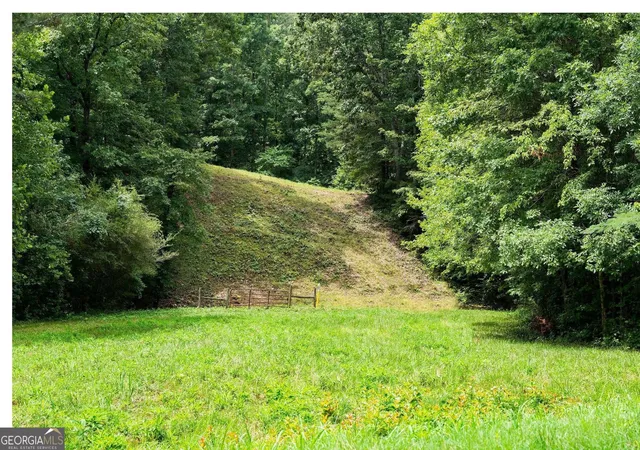 Photo 4 of Land for sale at 0 Hanes, Oakman, GA 30732 | MLS# 10814528 | Listing updated on 2026-09-01