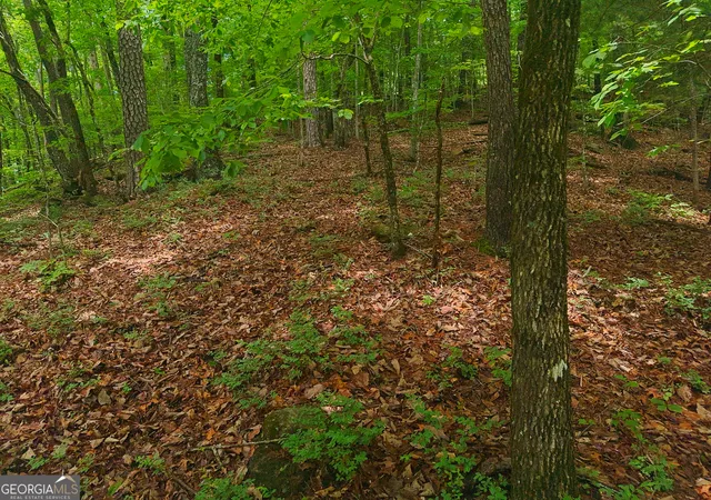 4th image of 0 Laurel Ln, Clayton, GA 30525 | MLS# 10775992