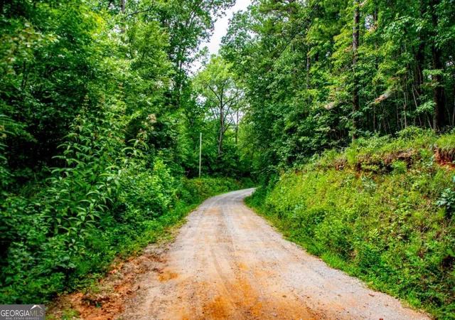 3rd image of 0 Goolsby Rd Rd, Carrollton, GA 30117 | MLS# 10821510