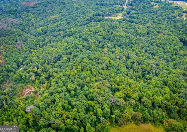 Photo 7 of Sale Pending at 0 Goolsby Rd Rd, Carrollton, GA 30117 | MLS# 10821510 | Listing updated on 2026-08-25