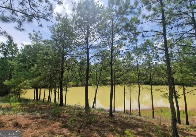 13th image of 1214 Ga Hwy 21 E, Millen, GA 30442 | MLS# 10810450