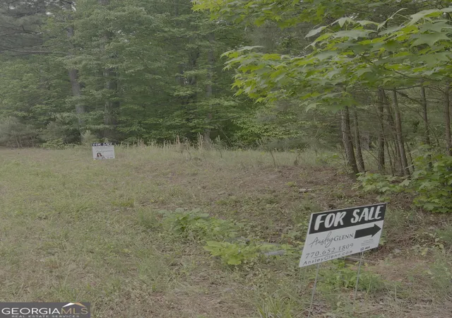 3rd image of 1585 N Ola Rd, Mcdonough, GA 30252 | MLS# 10756110