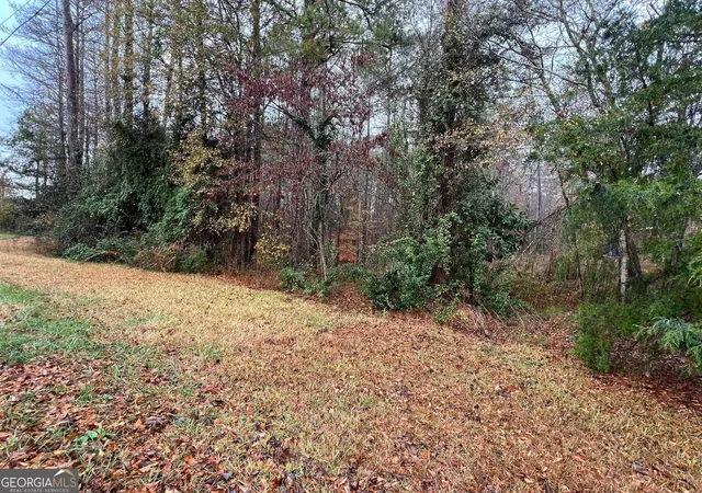 Homes for sale in Tallapoosa, GA | 0 Cherokee Dr, Tallapoosa, GA 30176 | MLS# 10774896
