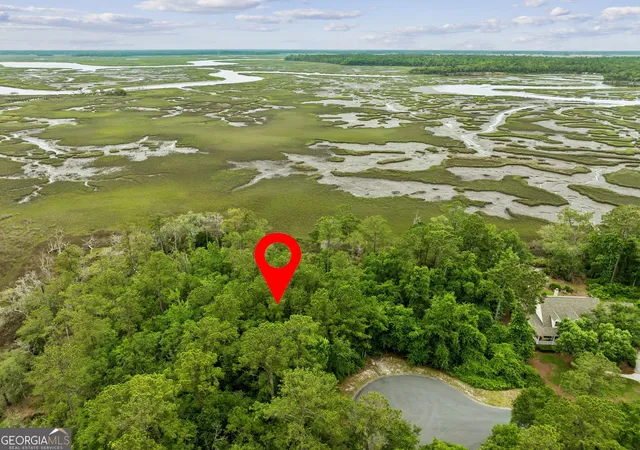 Homes for sale in Woodbine, GA | 0 Heron Point Ln, Woodbine, GA 31569 | MLS# 10782554