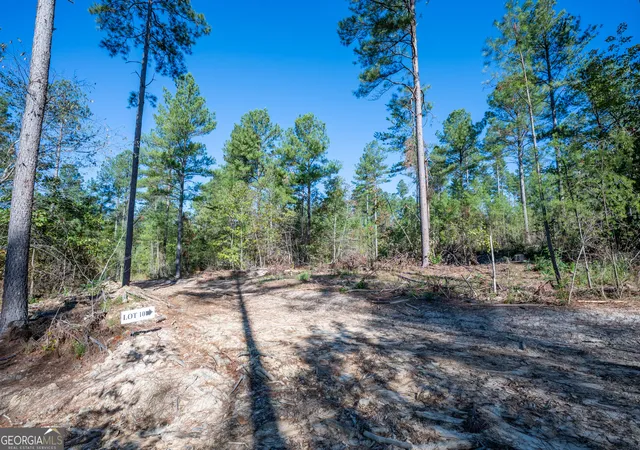 Photo 2 of Land for sale at 3867 Hwy 140 Ne, Rydal, GA 30171 | MLS# 10632105 | Listing updated on 2025-11-10