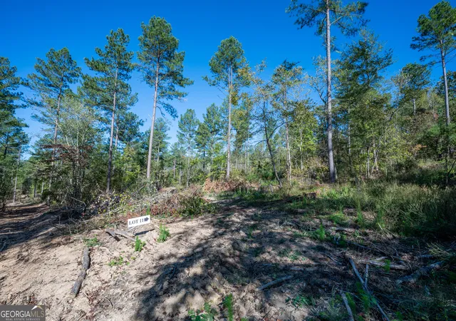 Photo 3 of Land for sale at 3867 Hwy 140 Ne, Rydal, GA 30171 | MLS# 10632105 | Listing updated on 2025-11-10