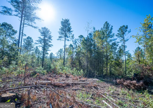 Photo 4 of Land for sale at 3867 Hwy 140 Ne, Rydal, GA 30171 | MLS# 10632105 | Listing updated on 2025-11-10