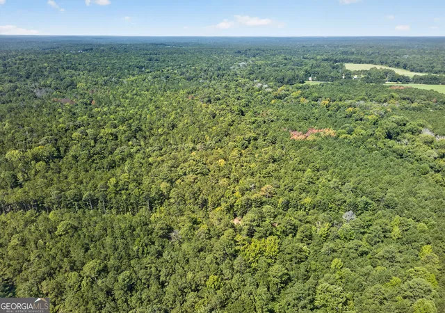Photo 3 of Land for sale at 484 Stonegables Ct, Gray, GA 31032 | MLS# 10825853 | Listing updated on 2026-09-04