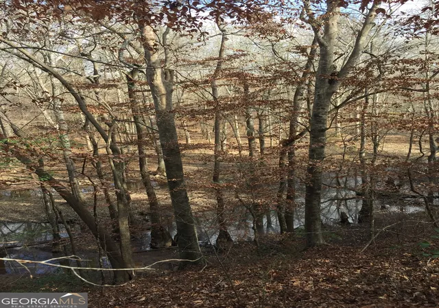 Photo 11 of Land for sale at 0 S Highway 92, Fayetteville, GA 30215 | MLS# 10805132 | Listing updated on 2026-08-31