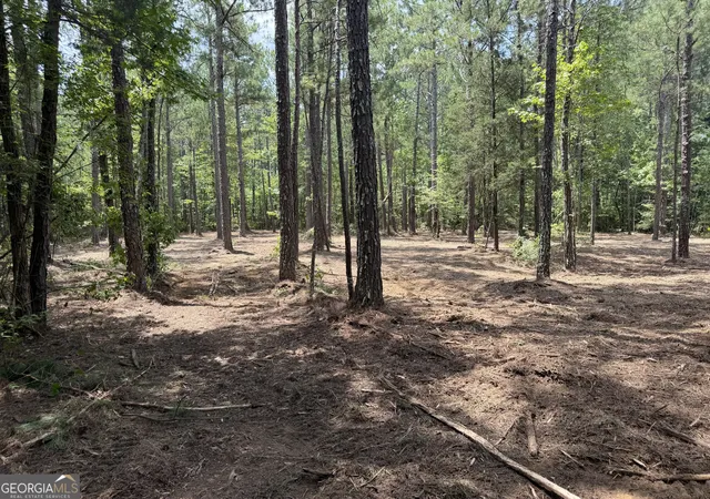 Photo 2 of House for sale at 0 S Highway 92, Fayetteville, GA 30215 | MLS# 10805132 | Listing updated on 2026-08-31