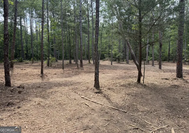 Photo 3 of House for sale at 0 S Highway 92, Fayetteville, GA 30215 | MLS# 10805132 | Listing updated on 2026-08-31