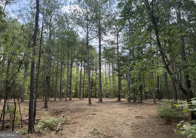 Photo 4 of House for sale at 0 S Highway 92, Fayetteville, GA 30215 | MLS# 10805132 | Listing updated on 2026-08-31