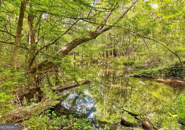 Photo 3 of Sale Pending at 0 Jackson Landing Rd, Picayune, MS 39466 | MLS# 10728404 | Listing updated on 2026-09-21