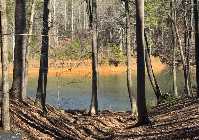 Photo 2 of Land for sale at 70 Geyser Ct, Ranger, GA 30734 | MLS# 10677868 | Listing updated on 2026-07-25