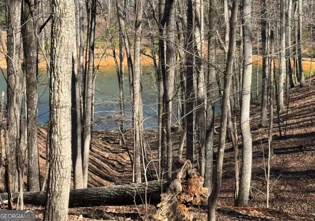 Photo 3 of Land for sale at 70 Geyser Ct, Ranger, GA 30734 | MLS# 10677868 | Listing updated on 2026-07-25