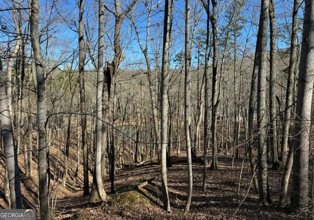 Photo 3 of Land for sale at 70 Geyser Ct, Ranger, GA 30734 | MLS# 10677868 | Listing updated on 2026-07-25