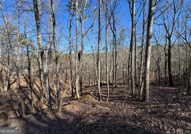 Photo 4 of Land for sale at 70 Geyser Ct, Ranger, GA 30734 | MLS# 10677868 | Listing updated on 2026-07-25