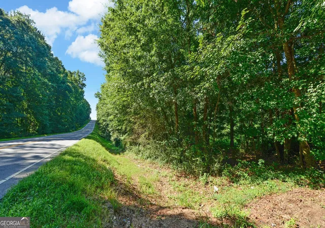 Land for sale at 0 Hwy 17, Royston, GA 30662 | MLS# 10630342