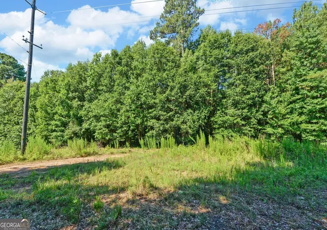 Photo 1 of House for sale at 0 Hwy 17, Royston, GA 30662 | MLS# 10630342 | Listing updated on 2026-09-04