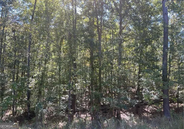 2nd image of Lot 160 Amaryllis Dr, Sparta, GA 31087 | MLS# 10803847