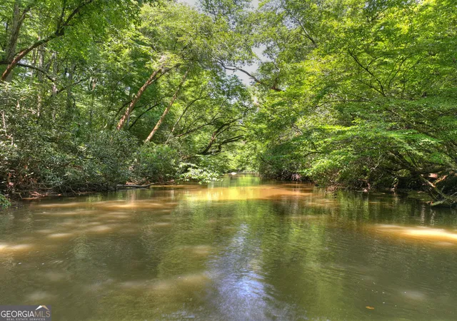 4th image of 357 Goldmine Trl, Ellijay, GA 30536 | MLS# 10819441