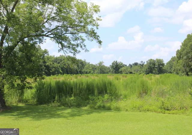 Photo 3 of Land for sale at 0 Albany Ave, Waycross, GA 31501 | MLS# 10808839 | Listing updated on 2026-08-18