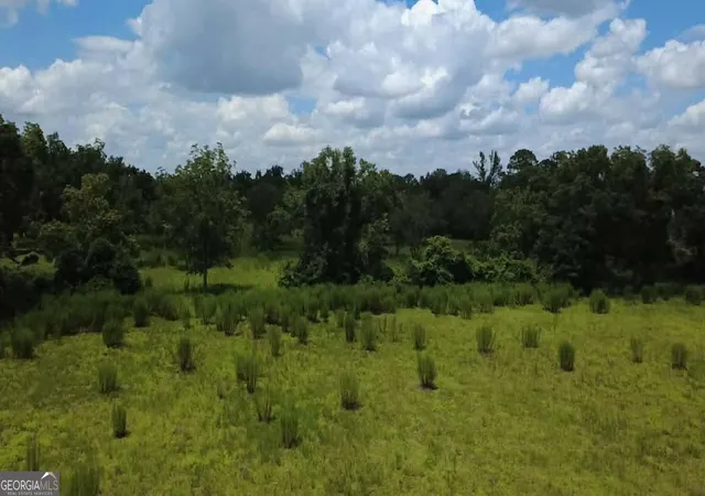 Photo 3 of House for sale at 0 Albany Ave, Waycross, GA 31501 | MLS# 10808839 | Listing updated on 2026-08-18