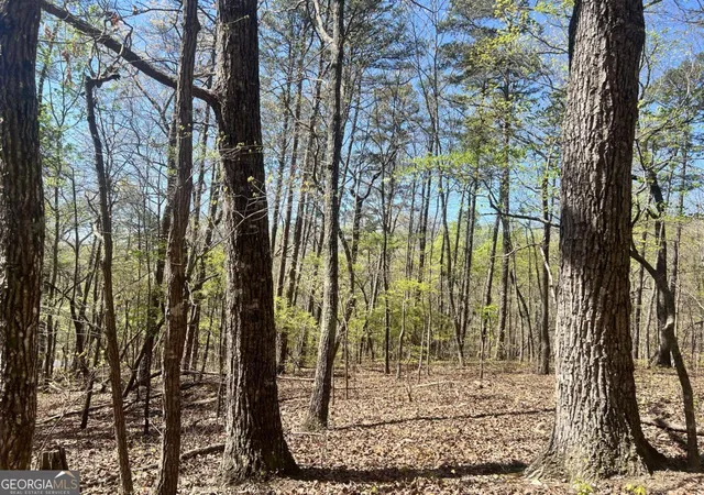 Photo 1 of Sale Pending at Lot 92 Doll Mountain Rd, Ellijay, GA 30540 | MLS# 10742595 | Listing updated on 2026-09-30