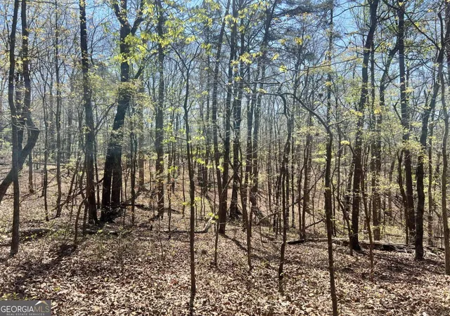 Photo 2 of Sale Pending at Lot 92 Doll Mountain Rd, Ellijay, GA 30540 | MLS# 10742595 | Listing updated on 2026-09-30
