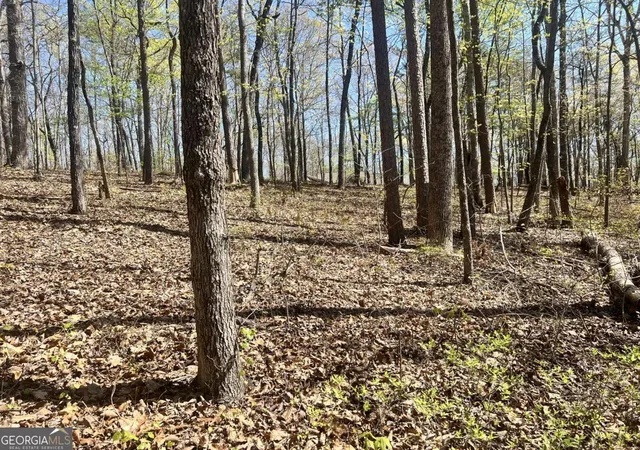 Photo 3 of Sale Pending at Lot 92 Doll Mountain Rd, Ellijay, GA 30540 | MLS# 10742595 | Listing updated on 2026-09-30