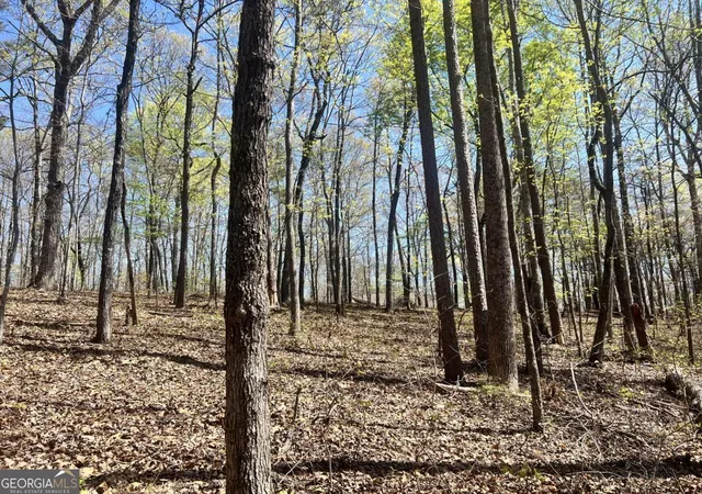 Photo 4 of Sale Pending at Lot 92 Doll Mountain Rd, Ellijay, GA 30540 | MLS# 10742595 | Listing updated on 2026-09-30