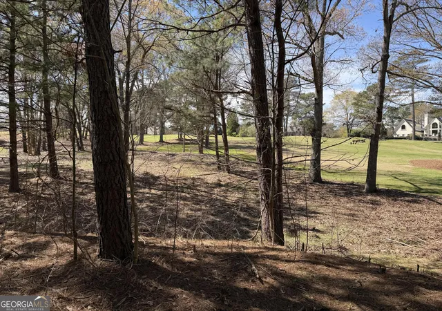 Photo 3 of Land for sale at 1894 Sam Snead Dr, Braselton, GA 30517 | MLS# 10718783 | Listing updated on 2026-04-09