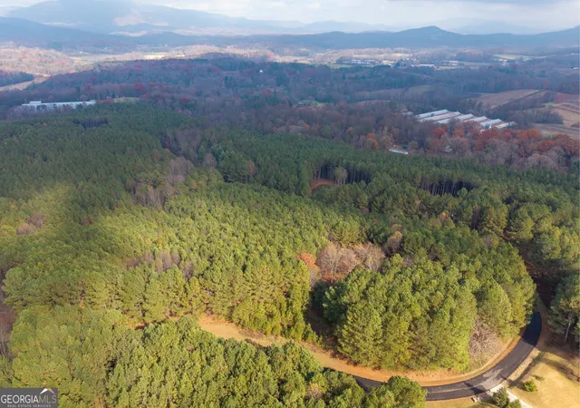 1st image of 0 Foxpaw Leaf Ln #LOT 20, Ellijay, GA 30536 | MLS# 10635955