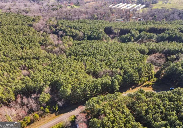 2nd image of 0 Foxpaw Leaf Ln #LOT 20, Ellijay, GA 30536 | MLS# 10635955