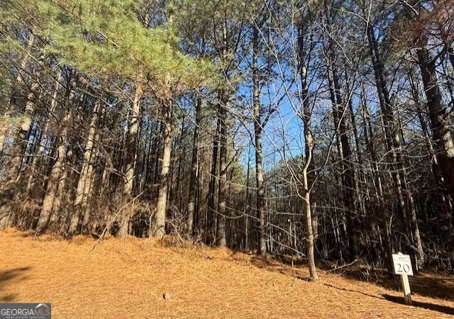 32nd image of 0 Foxpaw Leaf Ln #LOT 20, Ellijay, GA 30536 | MLS# 10635955