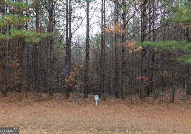 5th image of 0 Foxpaw Leaf Ln #LOT 20, Ellijay, GA 30536 | MLS# 10635955
